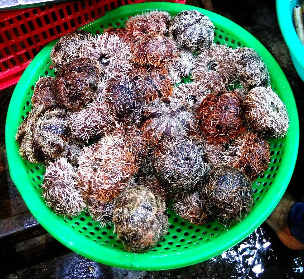 Ăn gì ở Nha Trang? 7 món ngon nên thử ít nhất một lần